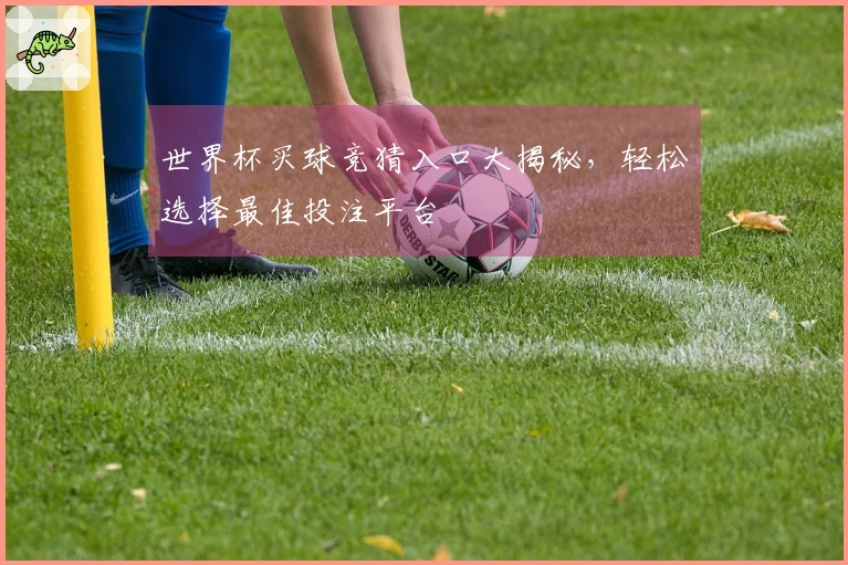 世界杯买球竞猜入口大揭秘，轻松选择最佳投注平台