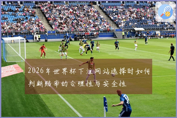 2026年世界杯下注网站选择时如何判断赔率的合理性与安全性