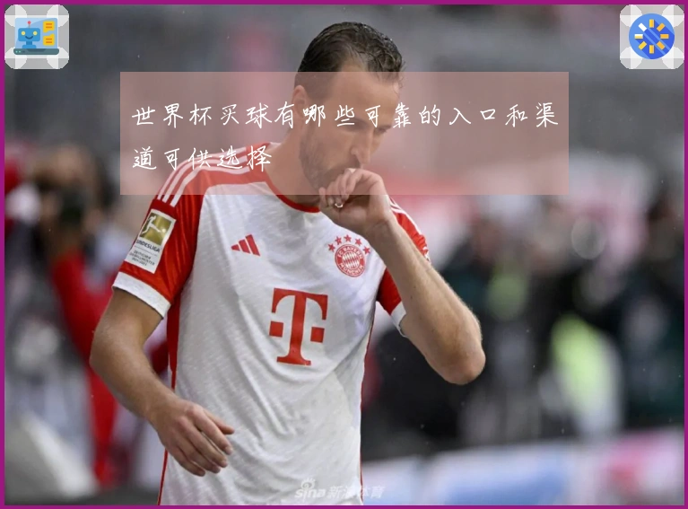 世界杯买球有哪些可靠的入口和渠道可供选择