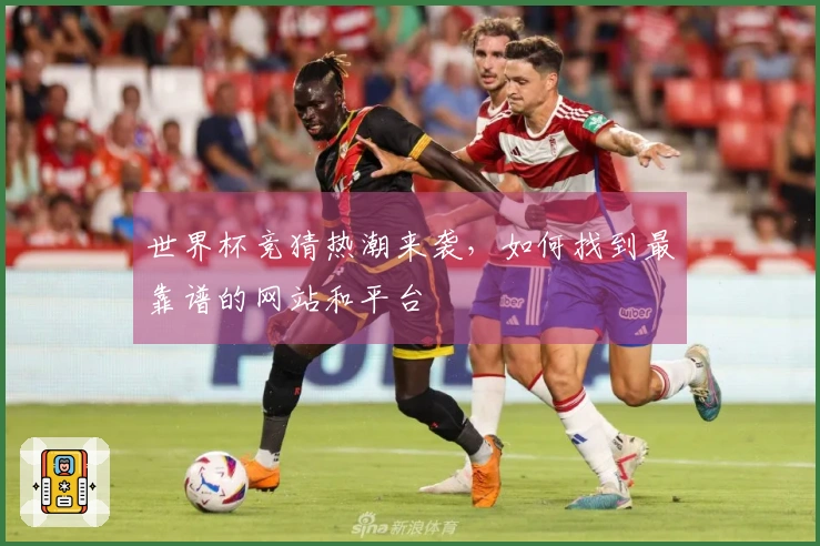世界杯竞猜热潮来袭,如何找到最靠谱的网站和平台