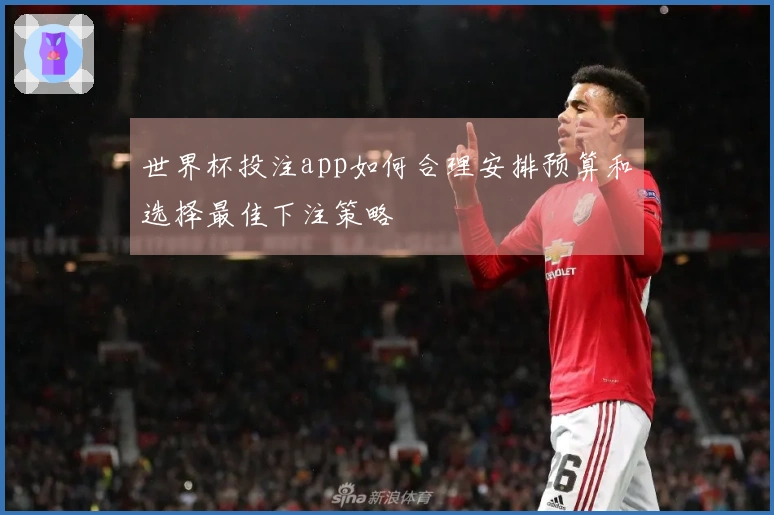 世界杯投注app如何合理安排预算和选择最佳下注策略