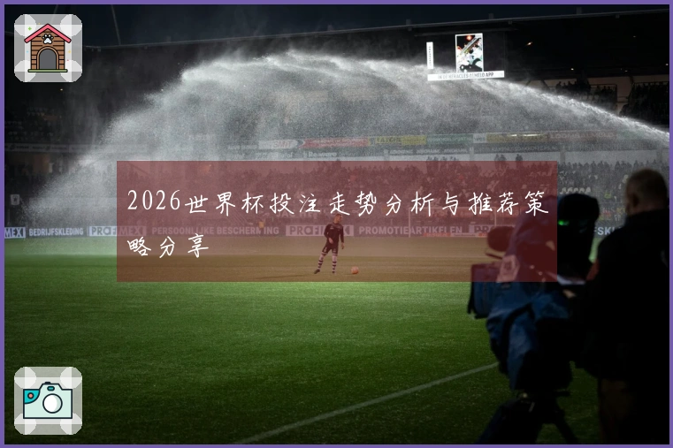 2026世界杯投注走势分析与推荐策略分享