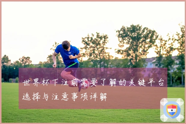 世界杯下注前需要了解的关键平台选择与注意事项详解