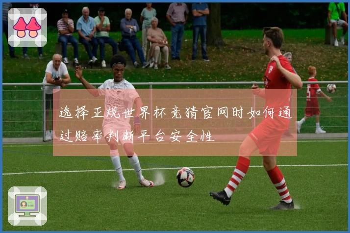 选择正规世界杯竞猜官网时如何通过赔率判断平台安全性