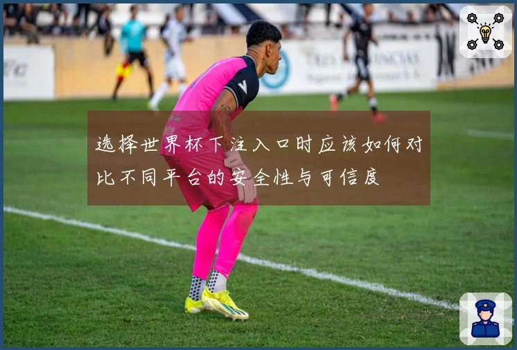 选择世界杯下注入口时应该如何对比不同平台的安全性与可信度