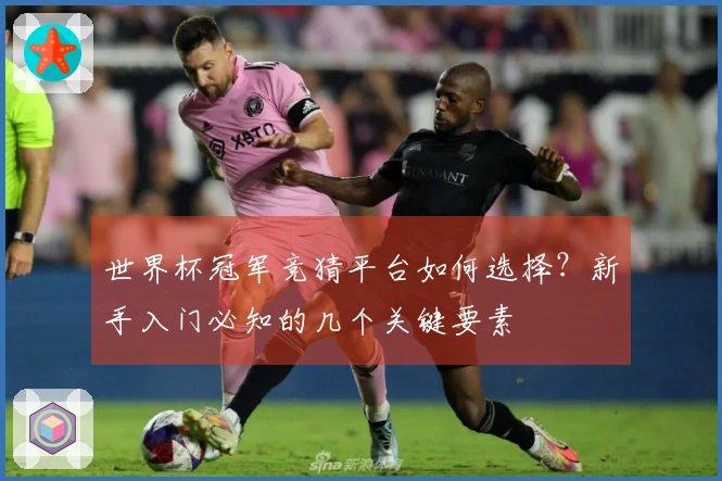 世界杯冠军竞猜平台如何选择？新手入门必知的几个关键要素