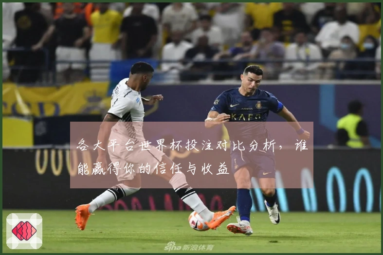 各大平台世界杯投注对比分析，谁能赢得你的信任与收益