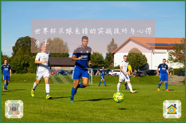 世界杯买球竞猜的实战技巧与心得分享