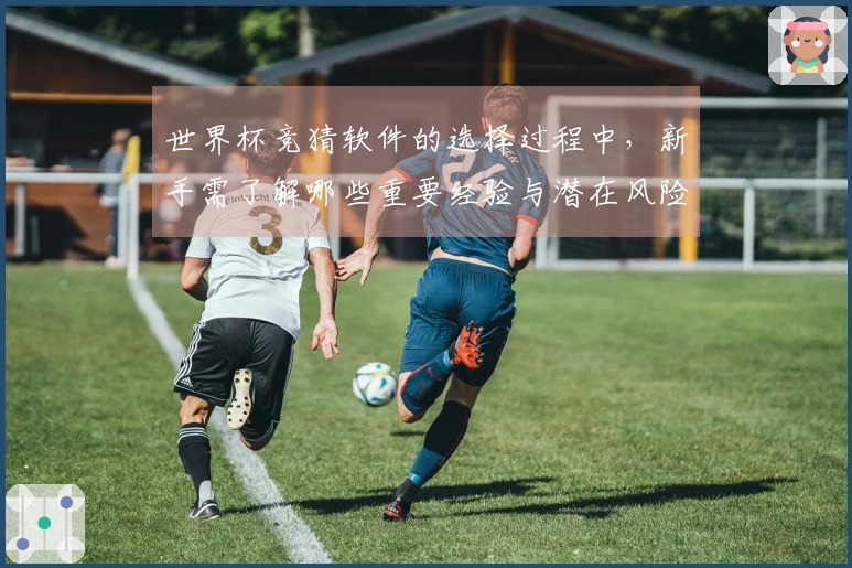世界杯竞猜软件的选择过程中，新手需了解哪些重要经验与潜在风险