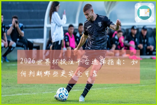 2026世界杯投注平台选择指南：如何判断哪些更安全可靠