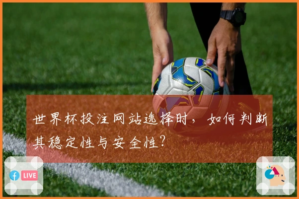 世界杯投注网站选择时，如何判断其稳定性与安全性？
