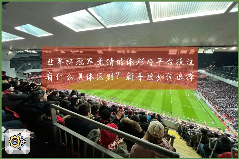 世界杯冠军竞猜的体彩与平台投注有什么具体区别？新手该如何选择？