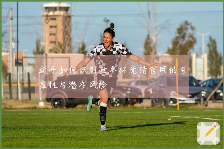 新手如何识别世界杯竞猜官网的可靠性与潜在风险
