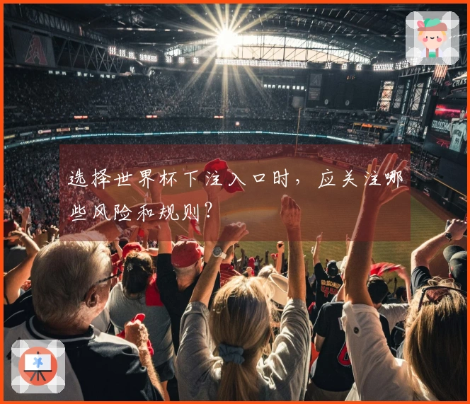 选择世界杯下注入口时，应关注哪些风险和规则？