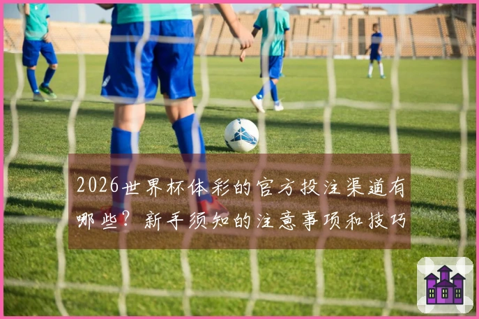 2026世界杯体彩的官方投注渠道有哪些？新手须知的注意事项和技巧解析