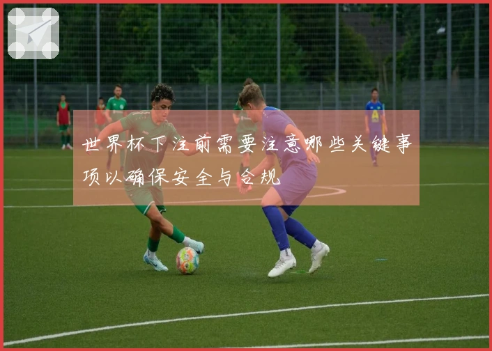 世界杯下注前需要注意哪些关键事项以确保安全与合规