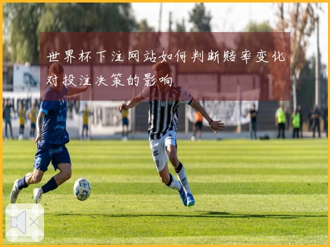世界杯下注网站如何判断赔率变化对投注决策的影响