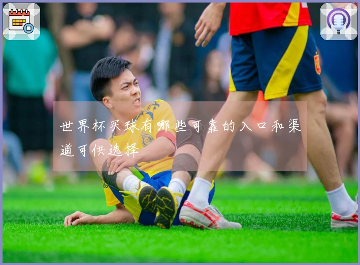 世界杯买球有哪些可靠的入口和渠道可供选择