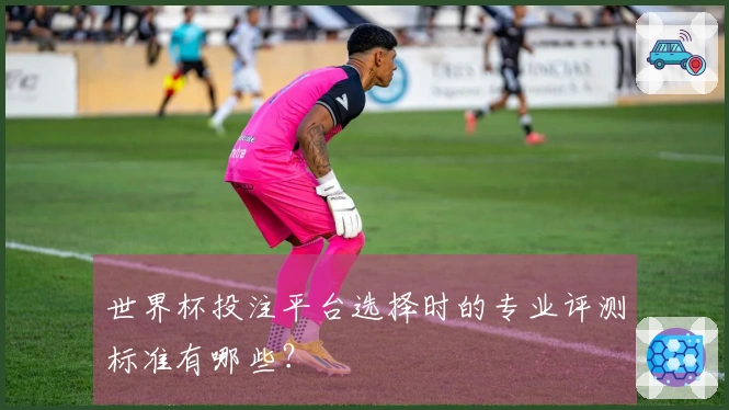 世界杯投注平台选择时的专业评测标准有哪些？