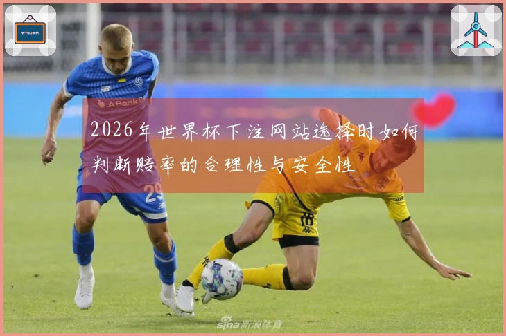2026年世界杯下注网站选择时如何判断赔率的合理性与安全性