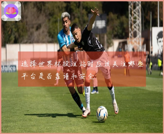 选择世界杯投注站时应该关注哪些平台是否靠谱和安全