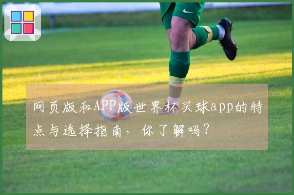 网页版和APP版世界杯买球app的特点与选择指南，你了解吗？