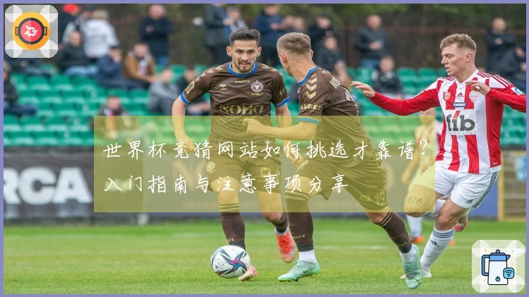 世界杯竞猜网站如何挑选才靠谱？入门指南与注意事项分享