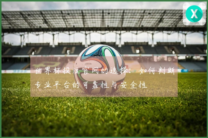 世界杯投注官网的选择：如何判断专业平台的可靠性与安全性