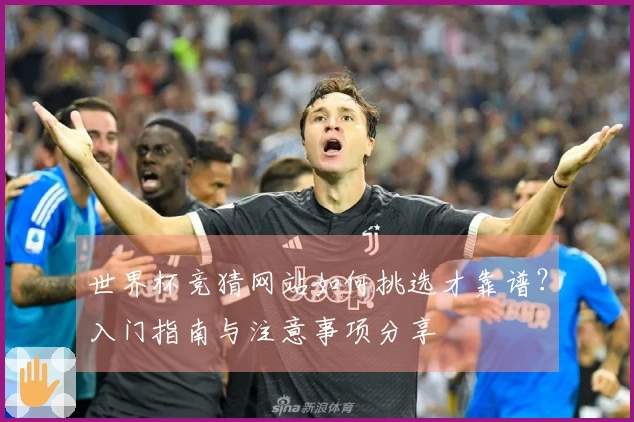 世界杯竞猜网站如何挑选才靠谱？入门指南与注意事项分享