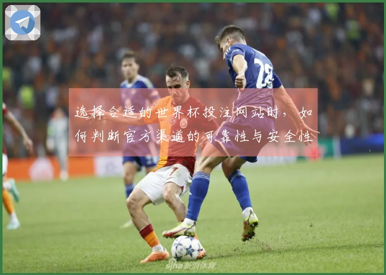 选择合适的世界杯投注网站时，如何判断官方渠道的可靠性与安全性