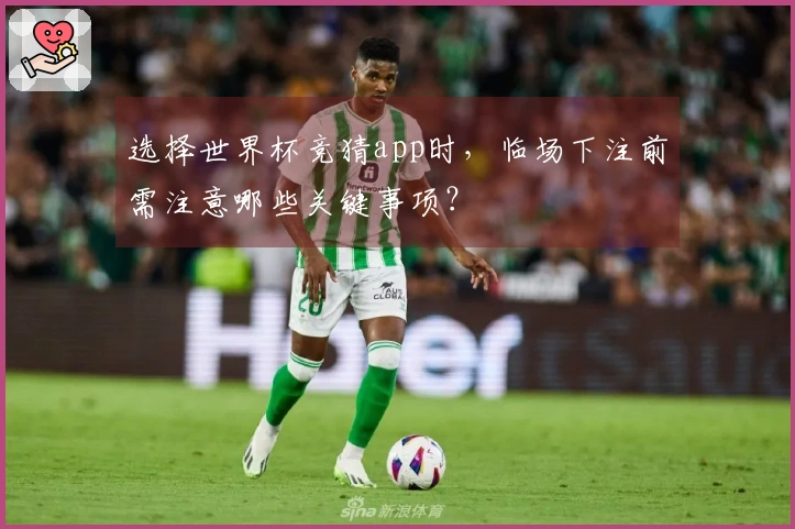 选择世界杯竞猜app时，临场下注前需注意哪些关键事项？