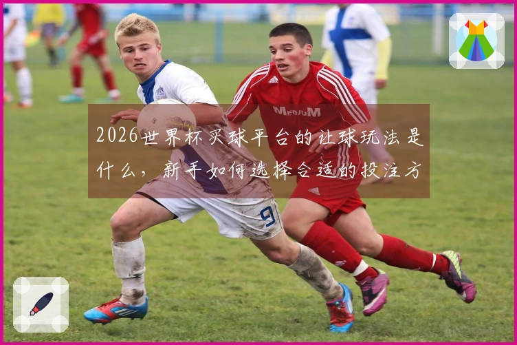 2026世界杯买球平台的让球玩法是什么，新手如何选择合适的投注方式
