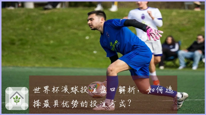 世界杯滚球投注盘口解析，如何选择最具优势的投注方式？