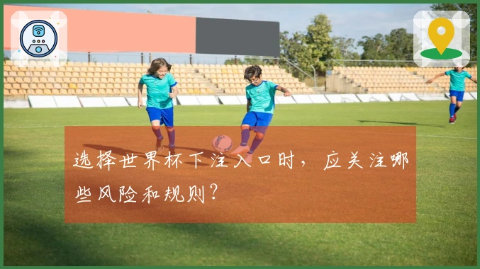 选择世界杯下注入口时，应关注哪些风险和规则？