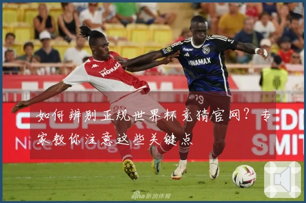 如何辨别正规世界杯竞猜官网？专家教你注意这些关键点