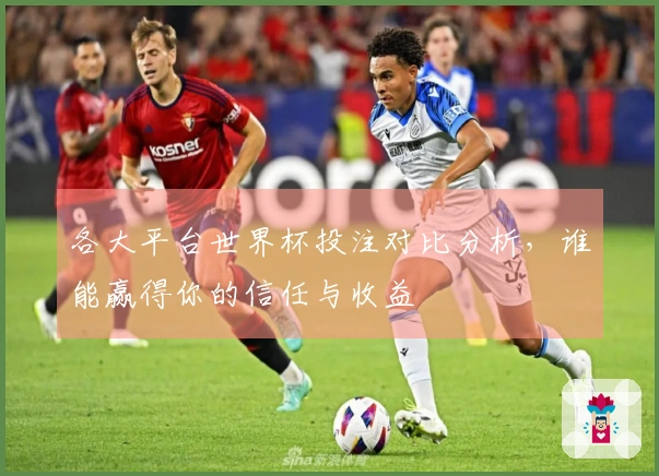 各大平台世界杯投注对比分析，谁能赢得你的信任与收益