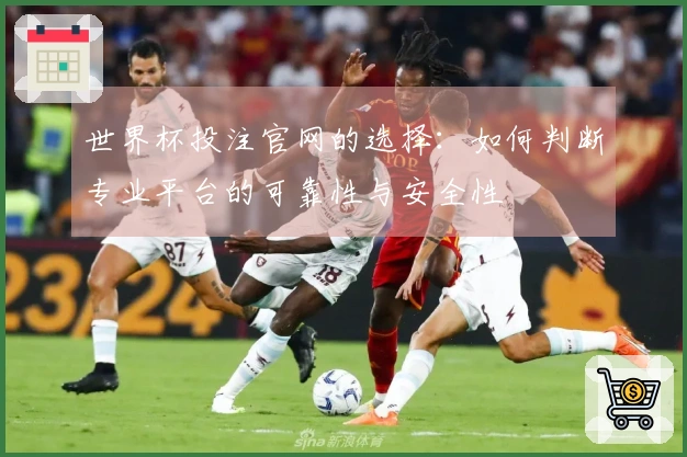 世界杯投注官网的选择：如何判断专业平台的可靠性与安全性