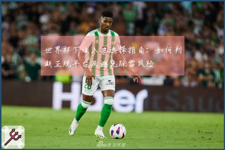 世界杯下注入口选择指南：如何判断正规平台及避免踩雷风险