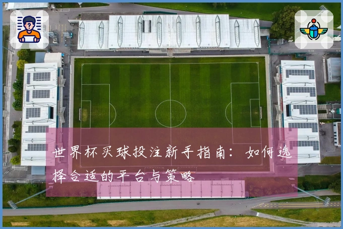 世界杯买球投注新手指南：如何选择合适的平台与策略