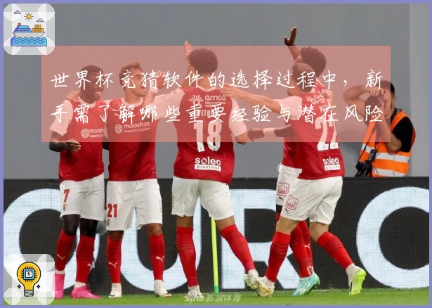 世界杯竞猜软件的选择过程中，新手需了解哪些重要经验与潜在风险