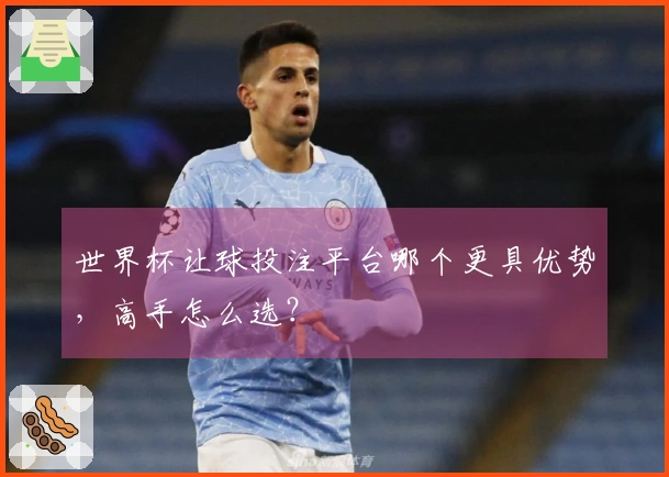世界杯让球投注平台哪个更具优势，高手怎么选？