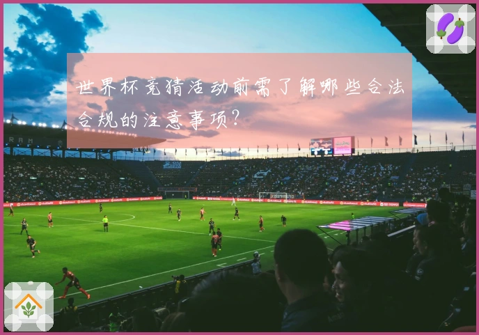 世界杯竞猜活动前需了解哪些合法合规的注意事项？