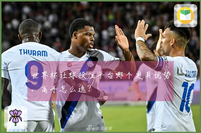 世界杯让球投注平台哪个更具优势，高手怎么选？