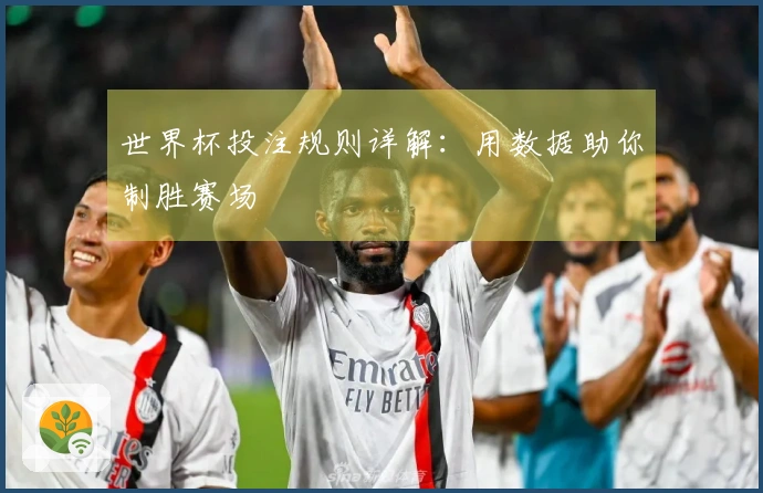 世界杯投注规则详解：用数据助你制胜赛场