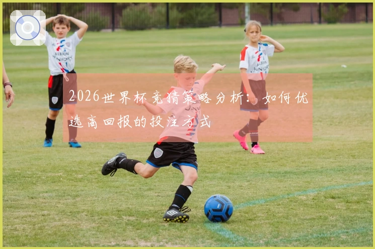 2026世界杯竞猜策略分析：如何优选高回报的投注方式