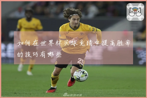 如何在世界杯买球竞猜中提高胜率的技巧有哪些