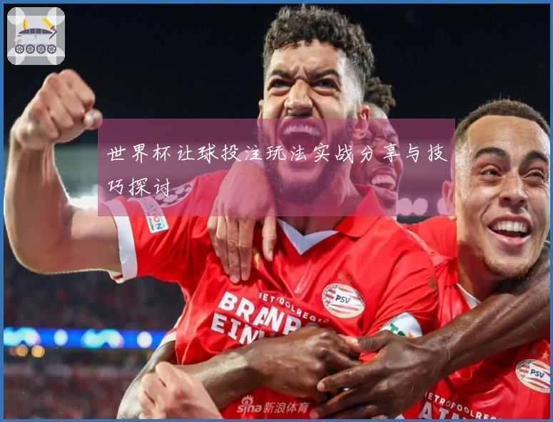 世界杯让球投注玩法实战分享与技巧探讨