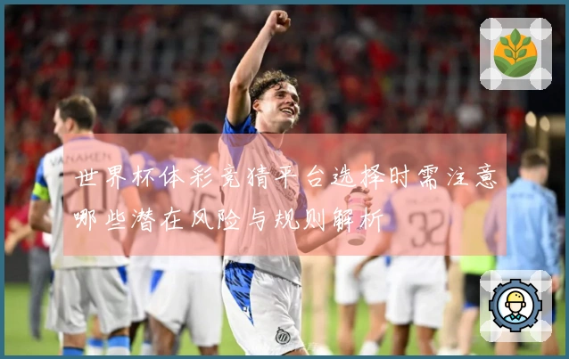 世界杯体彩竞猜平台选择时需注意哪些潜在风险与规则解析
