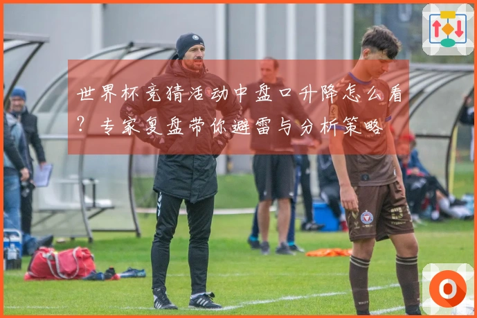 世界杯竞猜活动中盘口升降怎么看？专家复盘带你避雷与分析策略