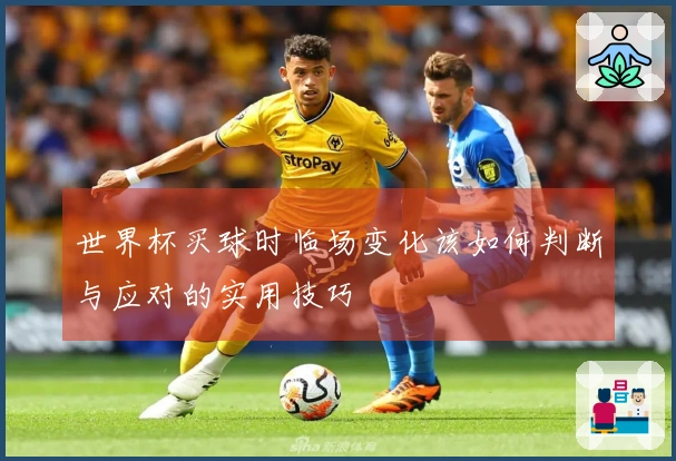 世界杯买球时临场变化该如何判断与应对的实用技巧